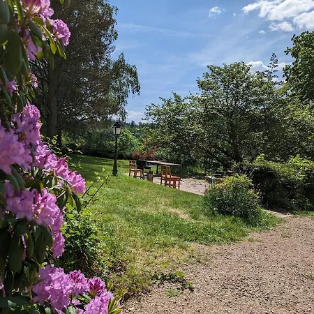 Bed & Breakfast Jonquille Avec Entree Privee Et Animaux Admis - Fr-1-589-718 Sapois (Vosges)