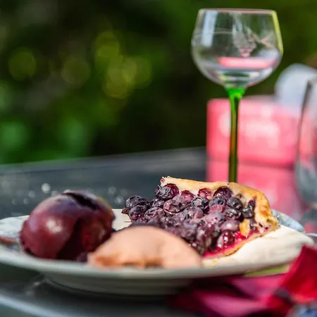 Jonquille Avec Entree Privee Et Animaux Admis - Fr-1-589-718 B&B Sapois (Vosges)