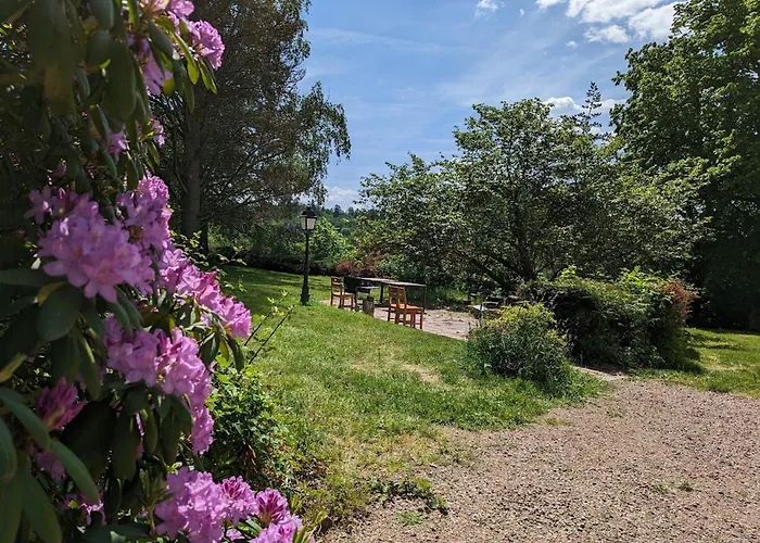 Bed & Breakfast Jonquille Avec Entree Privee Et Animaux Admis - Fr-1-589-718 Sapois (Vosges)