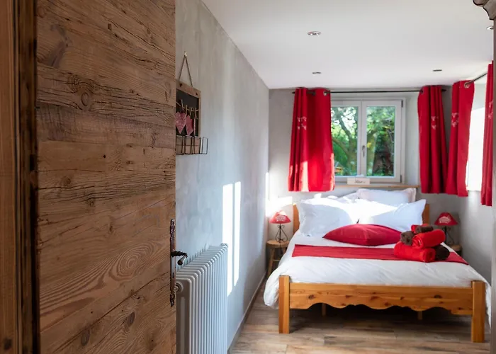 Jonquille Avec Entree Privee Et Animaux Admis - Fr-1-589-718 * Sapois (Vosges)