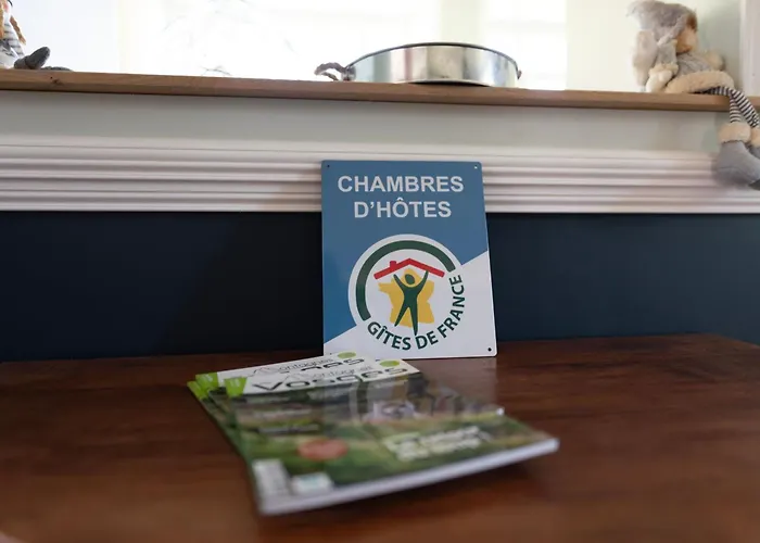 Jonquille Avec Entree Privee Et Animaux Admis - Fr-1-589-718 * Sapois (Vosges)