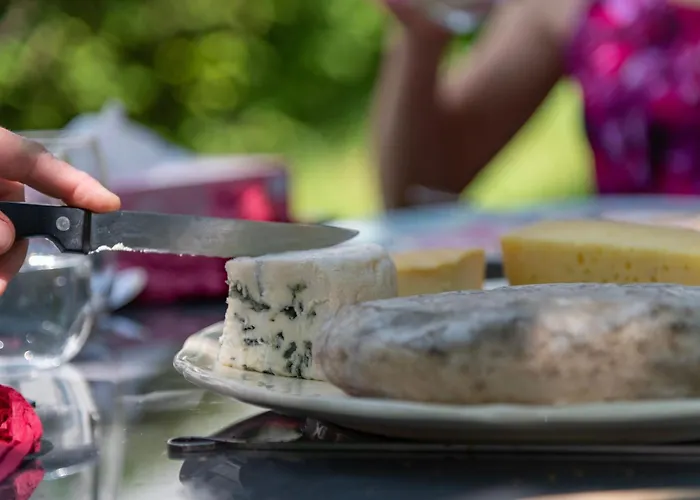 Jonquille Avec Entree Privee Et Animaux Admis - Fr-1-589-718