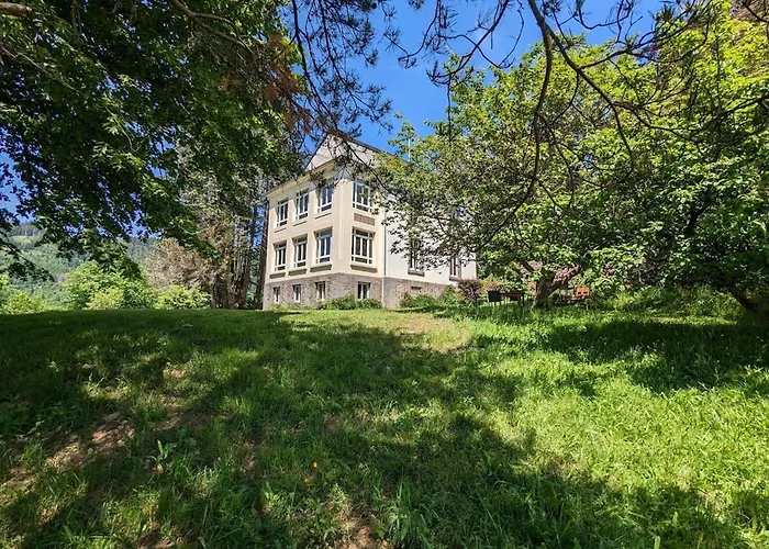 Jonquille Avec Entree Privee Et Animaux Admis - Fr-1-589-718 * Sapois (Vosges)