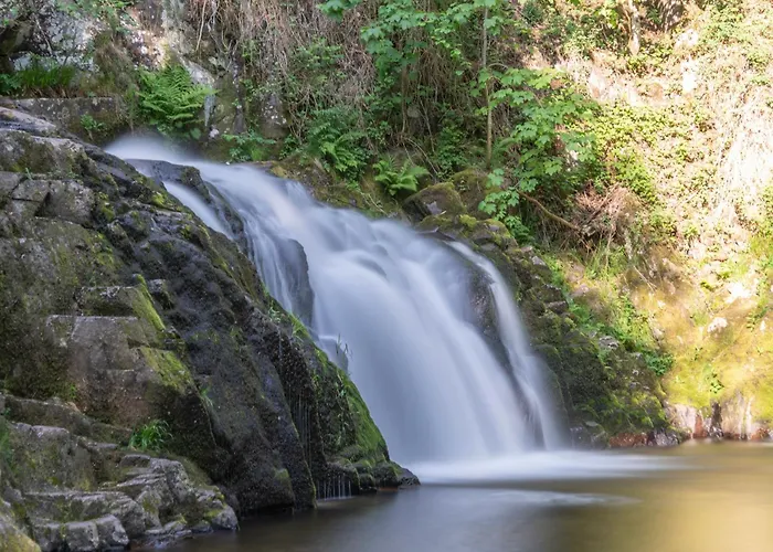 Bed & Breakfast Jonquille Avec Entree Privee Et Animaux Admis - Fr-1-589-718